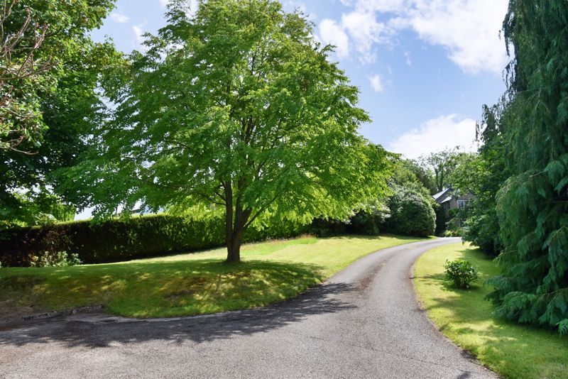 Driveway- click for photo gallery